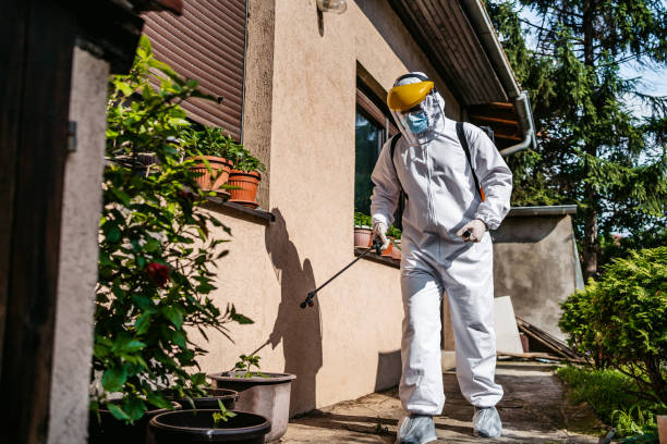 Best Pest Control Near Me  in Oquawka, IL