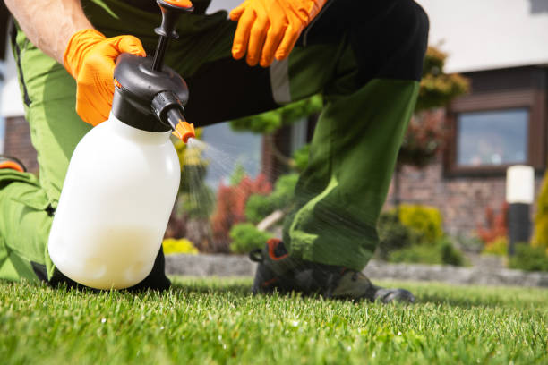 Best Pest Control for Businesses  in Oquawka, IL