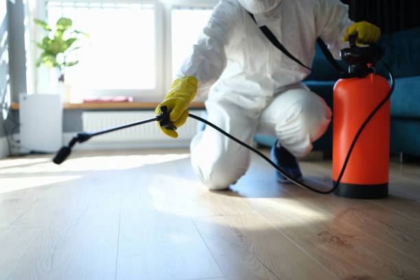 Best Best Pest Control Companies  in Oquawka, IL