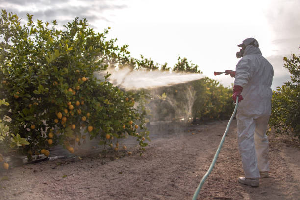  Oquawka, IL Pest Control Pros