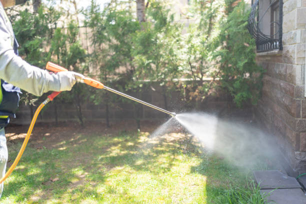 Best Best Pest Control Companies  in Oquawka, IL