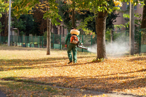 Best Affordable Pest Control Services  in Oquawka, IL