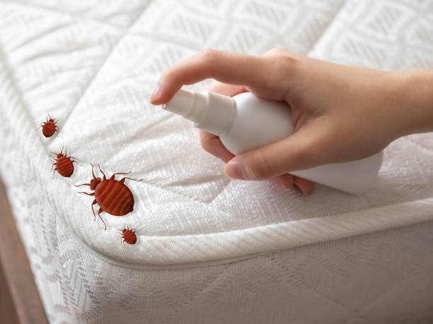 Best Affordable Pest Control Services  in Oquawka, IL