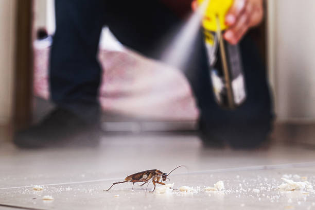 Best Mosquito Control Services  in Oquawka, IL