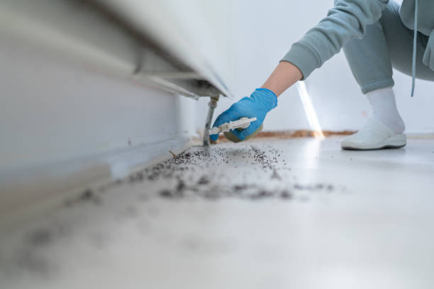 Best Cockroach Control Services  in Oquawka, IL